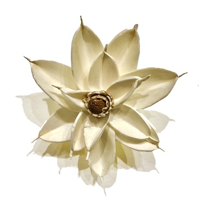 White 4 inch Magnolia Magnet 